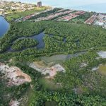 IMG_20210606_115304_449