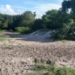 IMG_20210501_074945372_HDR